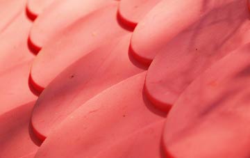 Plealey plastic roof costs