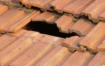 roof repair Plealey, Shropshire